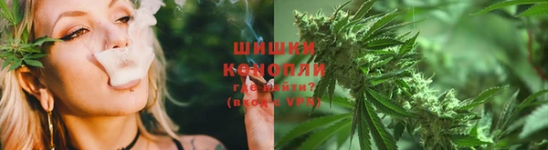 хмурый Абаза