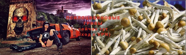 мдпв Семилуки