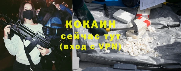 хмурый Абаза