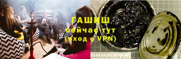 хмурый Абаза