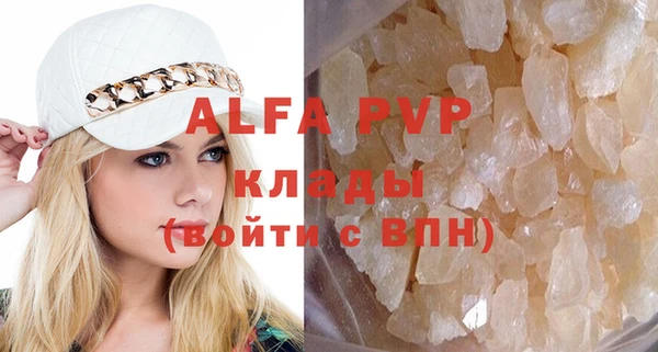 хмурый Абаза