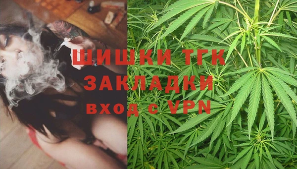 хмурый Абаза