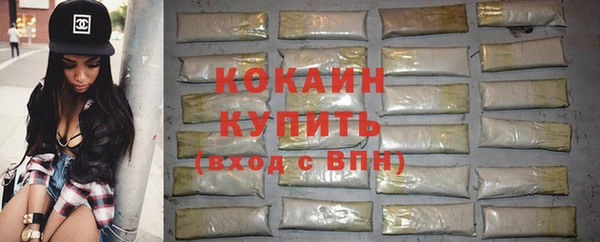 хмурый Абаза
