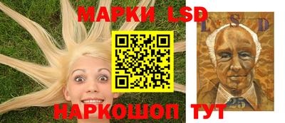 спиды Донской
