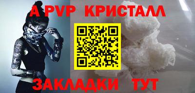 спиды Донской