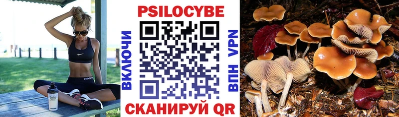 Псилоцибиновые грибы Psilocybe купить наркоту Лесозаводск