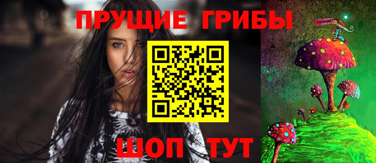 Псилоцибиновые грибы прущие грибы  Вход с VPN  Псилоцибиновые грибы Psilocybe  Лесозаводск 