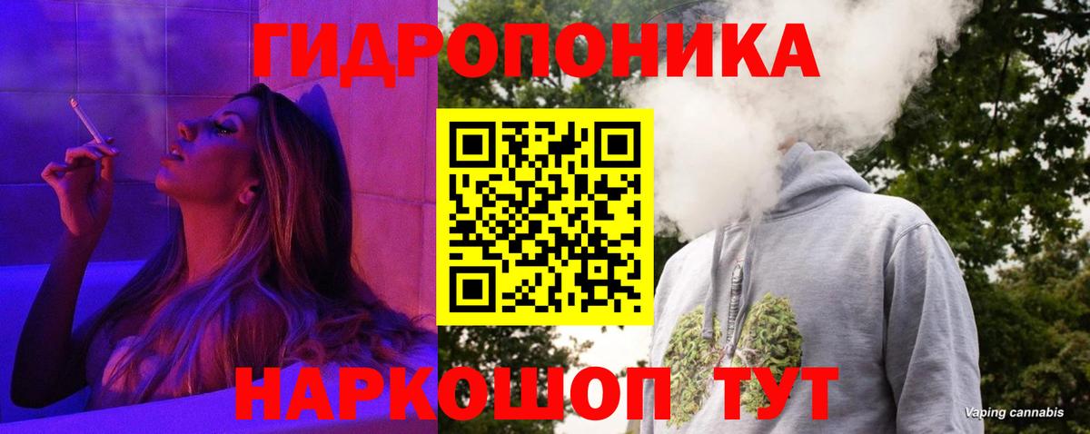 Шишки марихуана гибрид  Вход с VPN  Шишки марихуана индика  Лесозаводск  Конопля план  Шишки марихуана семена 